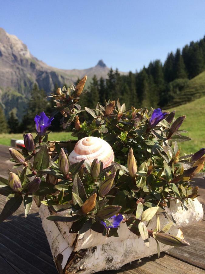 Chalet Aloa Adelboden Esterno foto
